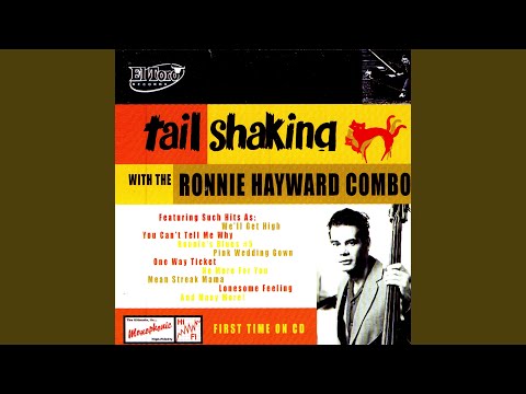 Tail Shaking CD