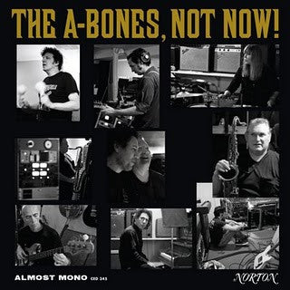 Not Now LP (vinyl)