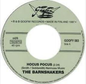 Hocus Pocus 7" single (vinyl)