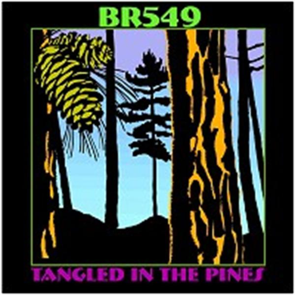 Tangled In The Pines CD