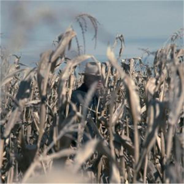 Free State Serenade CD