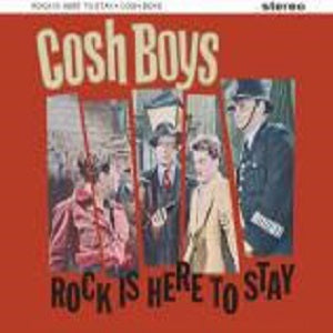 Rock Is Here To Stay LP (vinyl)