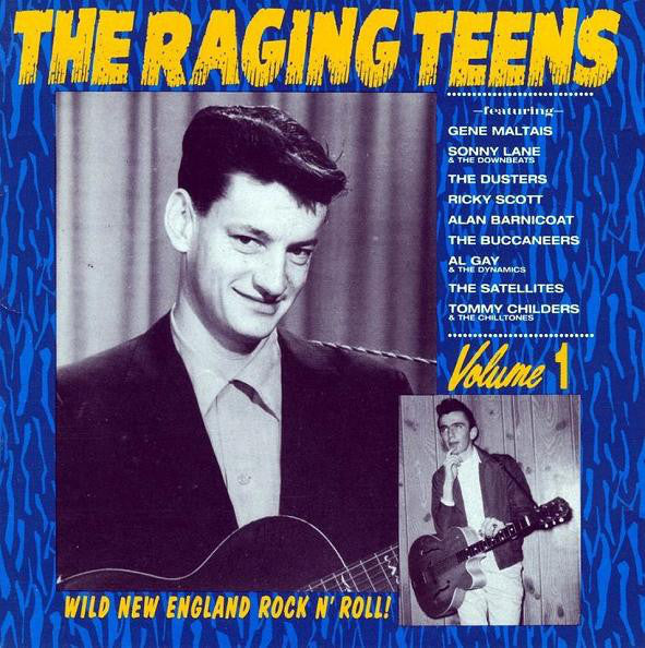Raging Teens Volume 1 CD