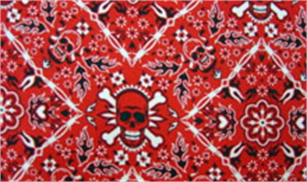 Rose Lee Red Top (UK6/UK8)