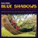 BB King Blue Shadows LP 1950s rhythm and blues vinyl at Raucous Records.