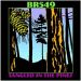 BR549 Tangled In The Pines CD hillbilly rockabilly at Raucous Records.