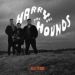 Harry and The Hounds Release The Hounds CD rockabilly at Raucous Records.