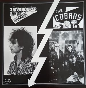 Steve Hooker and The Shakers The Cobras This Stuff's Gonna Bust Your Brains Out LP garage punk vinyl at Raucous Records.