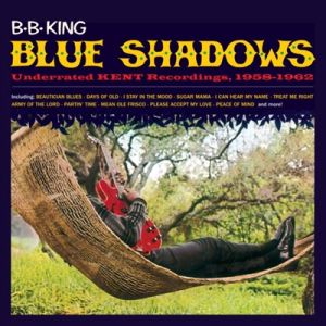 BB King Blue Shadows LP 1950s rhythm and blues vinyl at Raucous Records.