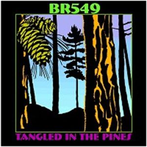 BR549 Tangled In The Pines CD hillbilly rockabilly at Raucous Records.