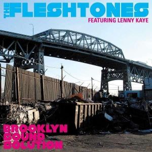 Fleshtones Brooklyn Sound Solution CD
