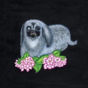 Guadalupe Plata 2017 CD