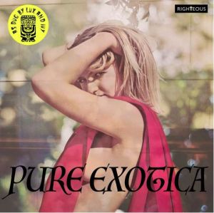 Pure Exotica As Dug By Lux and Ivy 2CD at Raucous Records.