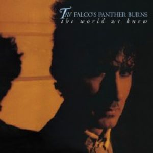 Tav Falco and Panther Burns The World We Knew Shake Bag 2CD