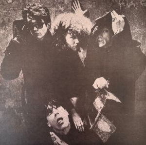 The Cramps Transylvanian Tapes LP psychobilly vinyl at Raucous Records.