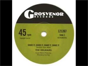 Shake It, Shake It, Shake It, Shake It (7" Vinyl Single)