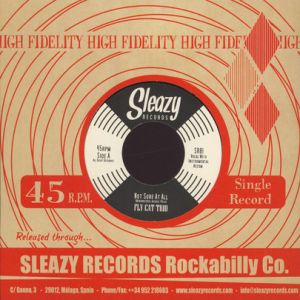 Fly Cat Trio Not Sure At All vinyl single