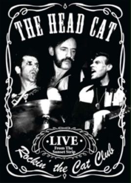 The Head Cat Rockin' The Cat Club DVD rockabilly at Raucous Records.