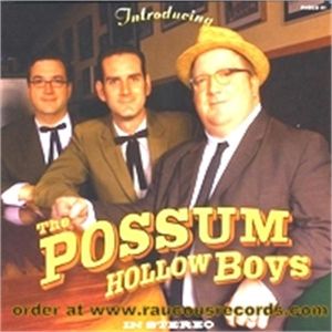 Introducing The Possum Hollow Boys CD