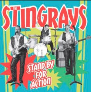 The Stingrays Stand By For Action CD British rock 'n' roll at Raucous Records.