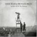 Daniel Meade Flying Mules Let Me Off At The Bottom CD
