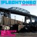 Fleshtones Brooklyn Sound Solution CD