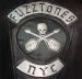 The Fuzztones NYC CD garage punk aty Raucous Records.