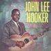 Great John Lee Hooker LP vinyl