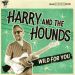 Harry and The Hounds Wild For You CD rockabilly at Raucous Records.