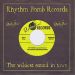 Pete Anderson and the Swamp Shakers Don't Touch 7" single rockabilly vinyl at Raucous Records.