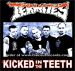 The Termites Kicked In The Teeth CD psychobilly at Raucous Records.
